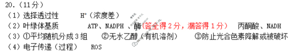 连云港市2025-2026学年第一学期高三期中调研考试生物答案