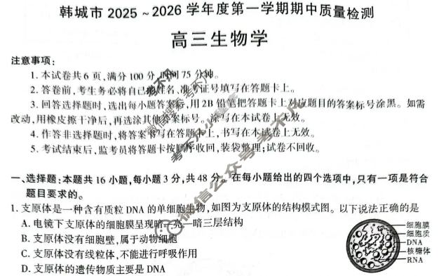韩城市2025~2026学年度第一学期期中质量检测高三(11月)生物试题
