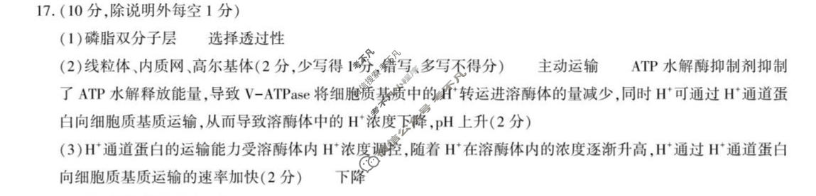 韩城市2025~2026学年度第一学期期中质量检测高三(11月)生物答案