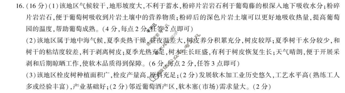 韩城市2025~2026学年度第一学期期中质量检测高三(11月)地理答案