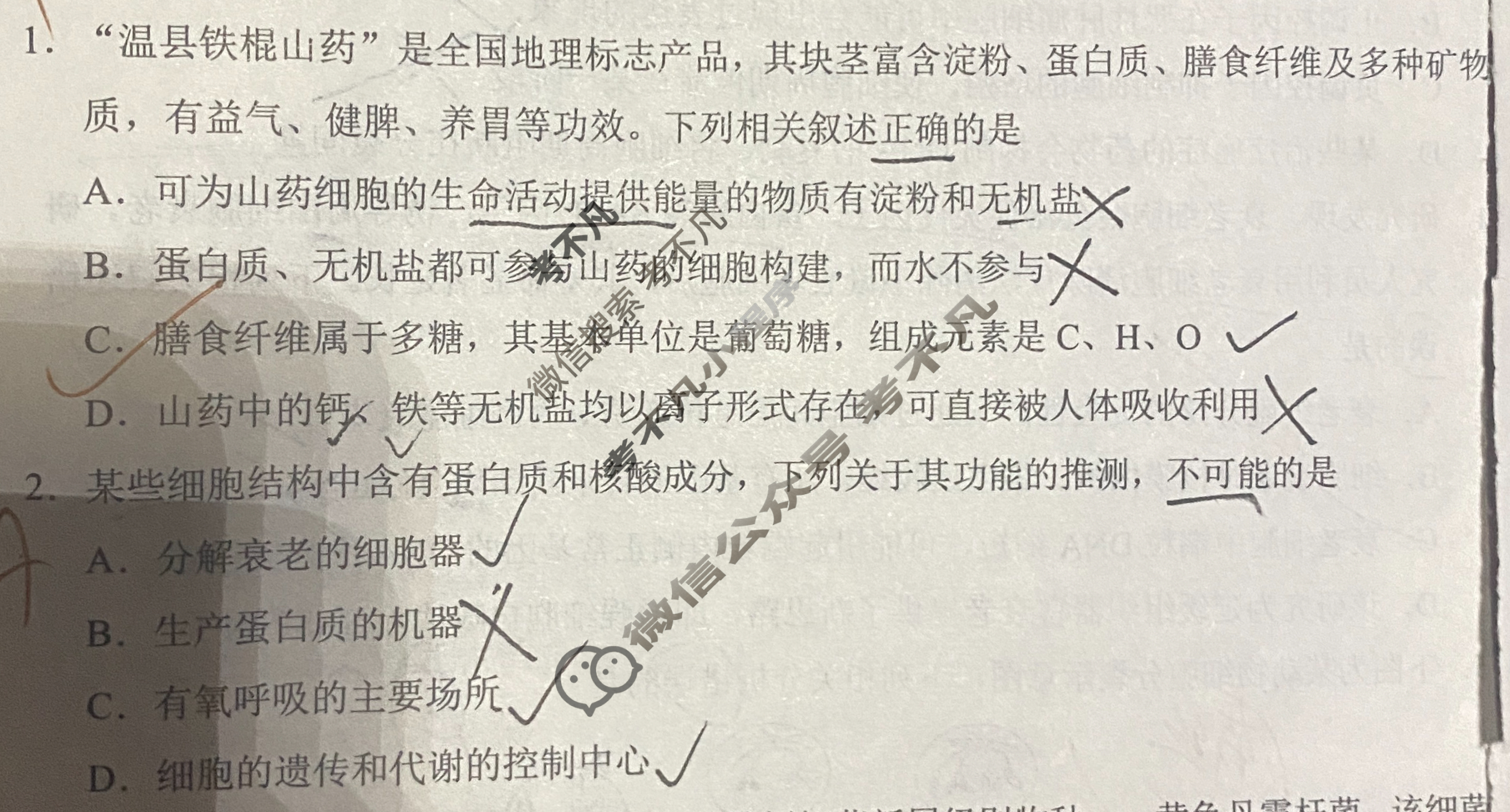 [学科网]2026届高三10月大联考生物(新课标卷)试题