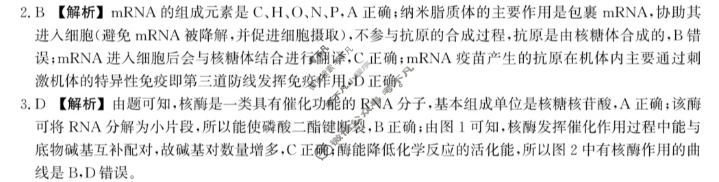 河北省沧衡名校联盟2025-2026学年高三年级期中质量检测(11月)生物答案