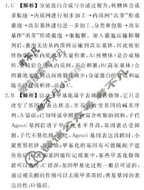 [衡水金卷]2025-2026学年度高二年级11月份联考(广东省)生物答案