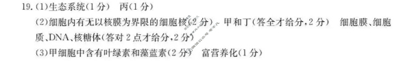 六校联盟2025年11月期中联考·高一试题(11月)生物答案