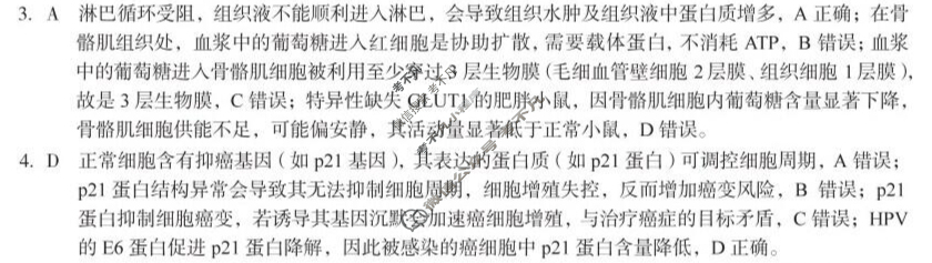 [1号卷]A10联盟&宿州十三校2024级高二上学期11月期中质量检测生物C答案