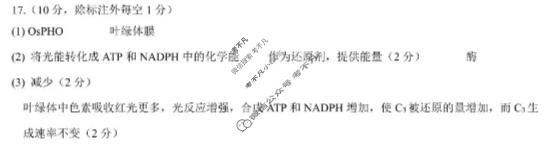 太原市2025-2026学年第一学期高三年级期中学业诊断生物答案