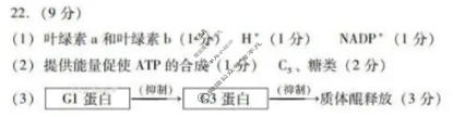 潍坊市2025-2026学年高三阶段性诊断监测(2025.11)(潍坊一诊)生物答案