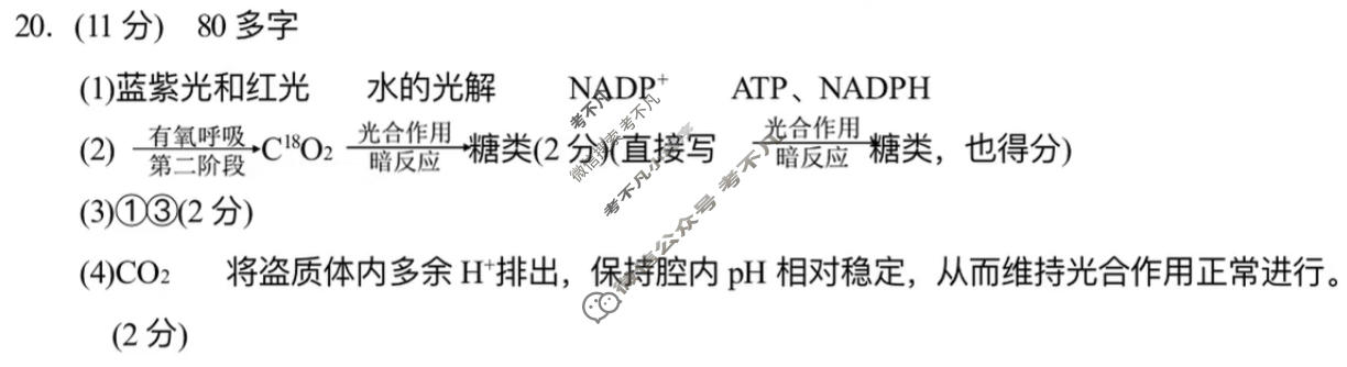 江苏省2026届高三年级期中阳光调研(11月)生物答案