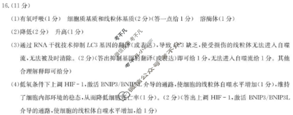 安徽省2026届高三第一次五校联考(11月)生物答案