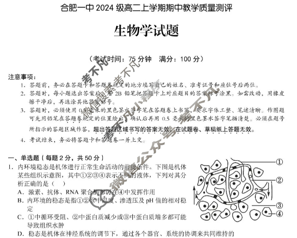 合肥一中2024级高二上学期期中教学质量测评生物试题