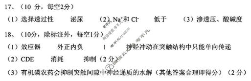 太原市2025-2026学年第一学期高二年级期中学业诊断生物答案