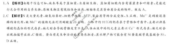 [湘豫名校联考]2025年11月高三一轮复习诊断考试生物答案