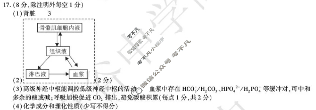 府谷中学2025年秋高二年级期中质量调研检测卷生物答案
