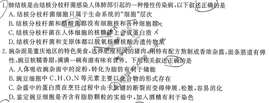 衡水金卷先享题 2025-2026学年度上学期高三年级三调考试·月考卷 生物学试题