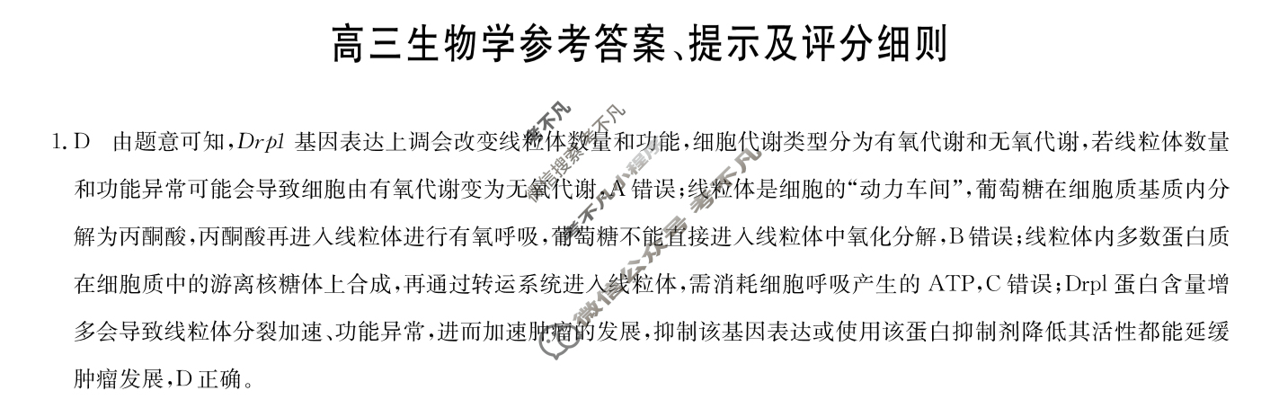 [九师联盟]2026届高三11月质量检测生物LY答案