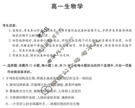 [天一大联考]湖南省2025-2026学年上学期高一联考(11月)生物试题