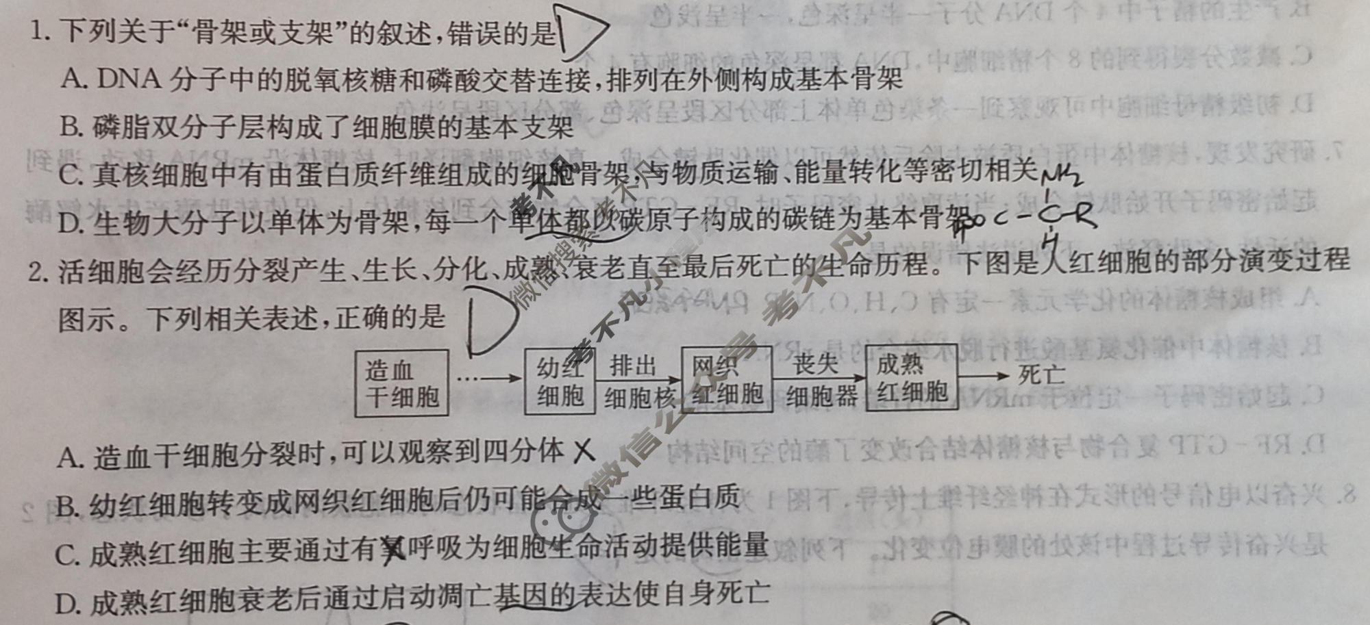 [炎德英才]新高考教学教研联盟2026届高三年级12月联考生物试题