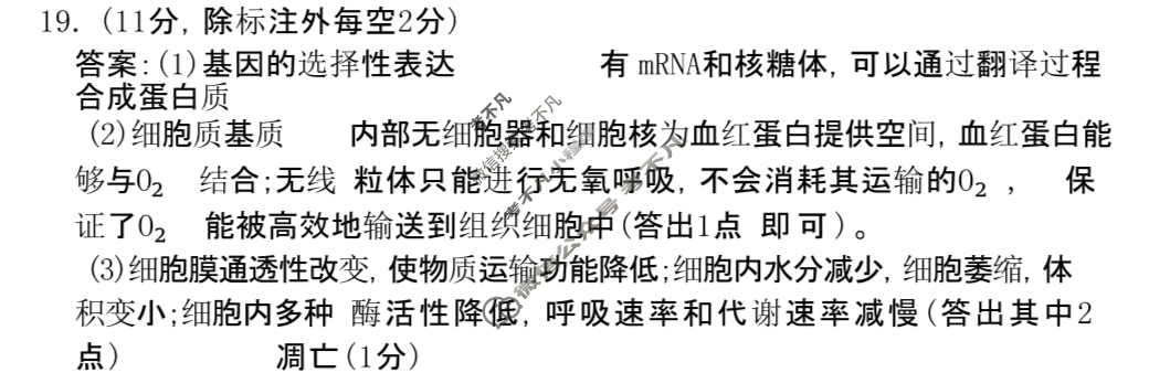 河北省唐山市十校2025-2026学年高三年级上学期期中考试(12月)生物答案