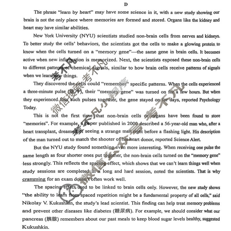 2025年长春市高二基础教育质量监测英语试题