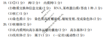 卓越联盟金太阳2025-2026学年第一学期高一第二次月考(12.2)生物答案