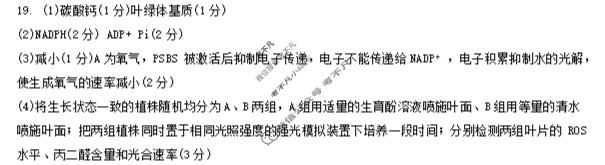 河北省9+1联盟2025-2026学年高三年级上学期调研考试生物答案