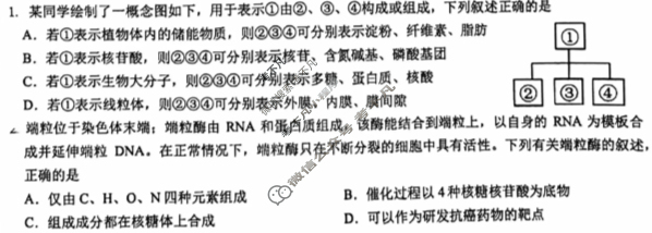 深圳中学2026届高三年级第二次阶段考试生物试题