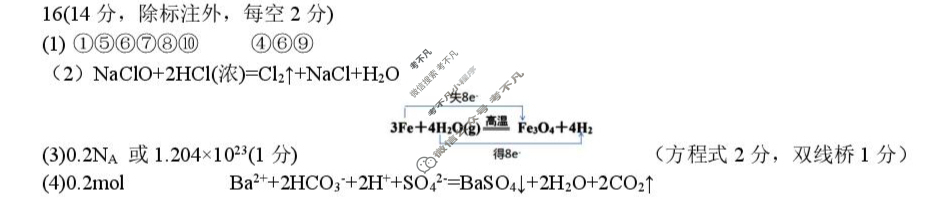 树德中学高2025级高一上学期半期考试化学答案