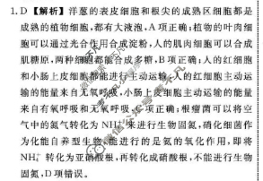 [辽宁省名校联盟]2025年高三12月份联合考试生物答案