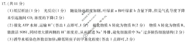[天一大联考]2025-2026学年(上)高三年级顶尖计划(二)2生物(A卷)答案
