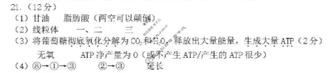 黑龙江省2026届龙东十校联盟高三学年12月月考生物答案