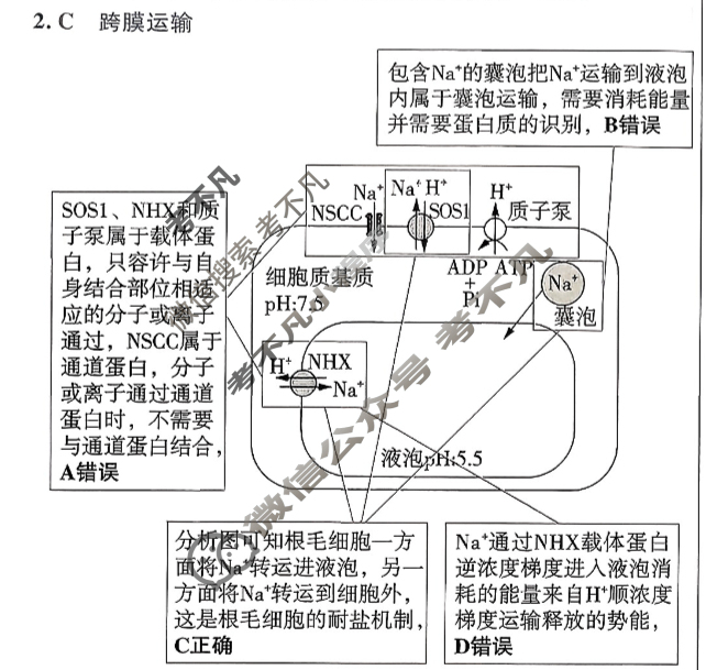 [金考卷·百校联盟]2026届8省名师联合命制高考预测卷(十)10生物答案