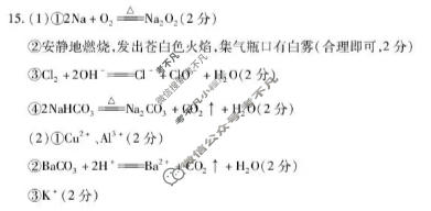 [天一大联考]河南省2025-2026学年高一年级阶段性诊断化学答案