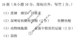 重庆市九校联盟2028届(高一上)期中联考(12月)生物答案