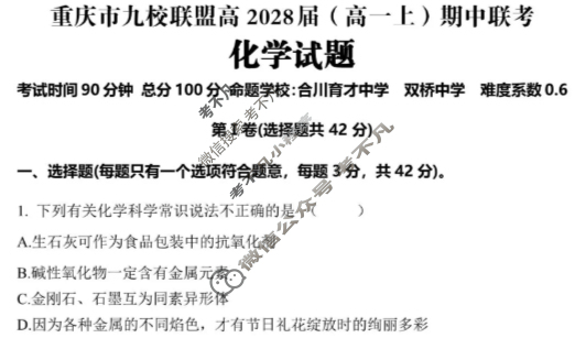 重庆市九校联盟2028届(高一上)期中联考(12月)化学试题