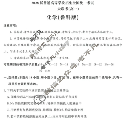 [青桐鸣]2028届普通高等学校招生全国统一考试 青桐鸣联考(高一)(12月)化学(鲁科版)试题