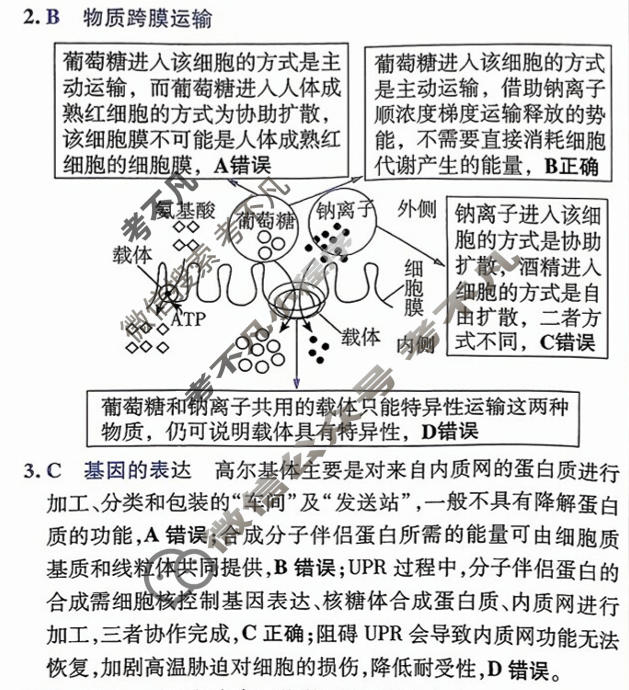 [金考卷·百校联盟]2026届高三年级10-12月考情信息卷(二)2生物答案