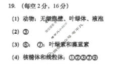2025-2026学年十堰市八校教联体高一12月联考(12.15)生物答案