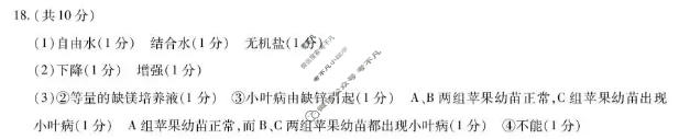 [天一大联考]河南省2025-2026学年高一年级阶段性诊断生物答案
