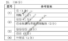 [点石联考]2025年点石联考东北"三省一区"高一年级12月份联合考试生物答案