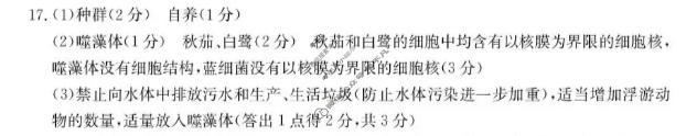 广西金太阳2025年秋季学期高一年级12月教学质量检测生物答案