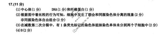 四川省达州市普通高中2026届第一次诊断性测试(达州一诊)生物答案