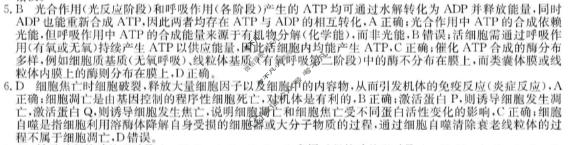 广西2025年秋季学期高二"4+N"联盟学校期中考试(6081B)(12月)生物答案