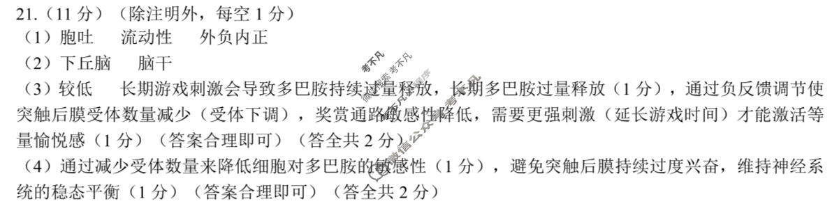 [点石联考]2025年点石联考东北"三省一区"高二年级12月份联合考试生物答案