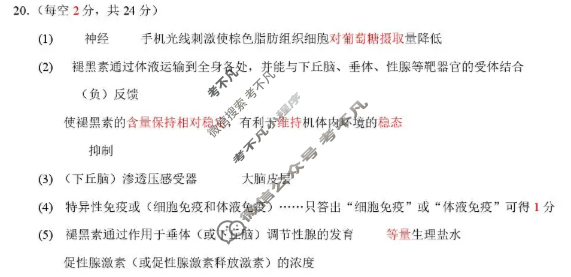 2025-2026学年十堰市八校教联体高二12月联考生物答案