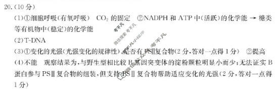 江苏省金太阳2026届高三年级12月联考(12.17)生物答案