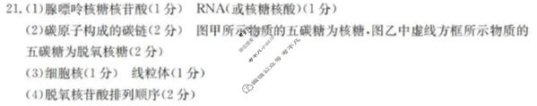 辽宁省金太阳2025-2026学年度上学期协作校高一第二次考试(12.13)生物答案