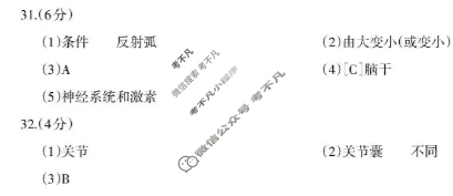 云南省2025年初二秋季学期学生综合素养阶段性练习(4)生物答案