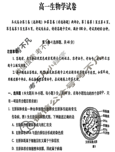 贵阳市七校2028届高一年级联合考试(二)2生物试题