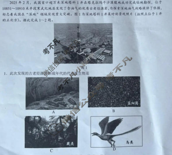 2026届广西省高三毕业班12月教学质量联合测试地理试题