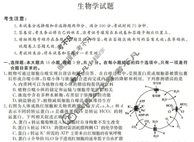 西北四省2026届高三12月高考适应性考试生物试题